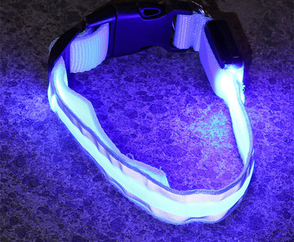 Anti-lost Led Luminous Dog Collar Pet Supplies